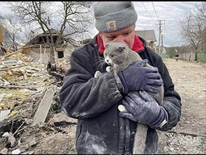 >После удара по селу Мархалевка – фото 01
