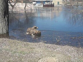 There is a threat of flooding the village Demidov – photo 03