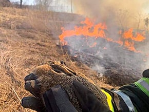 Rescuers of the Lviv region eliminate many fires, including fires of dry grass – photo 01