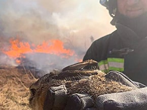 Rescuers of the Lviv region eliminate many fires, including fires of dry grass – photo 02